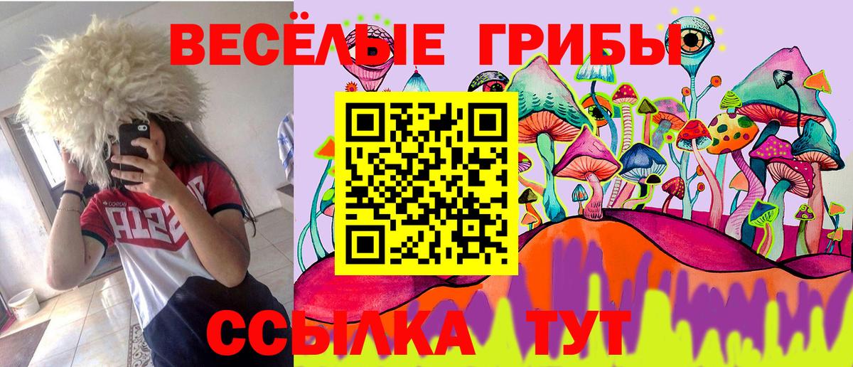Сыктывкар  Псилоцибиновые грибы мицелий  Вход с VPN 