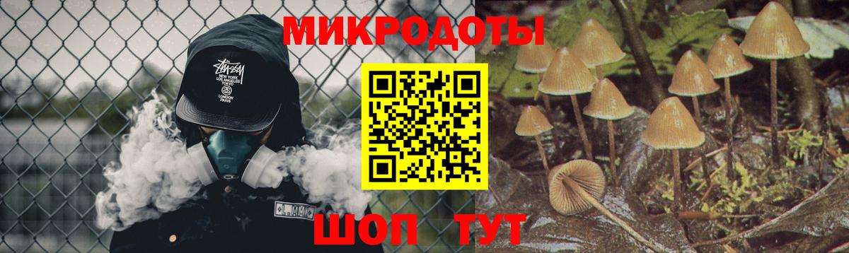 Псилоцибиновые грибы Cubensis Сыктывкар